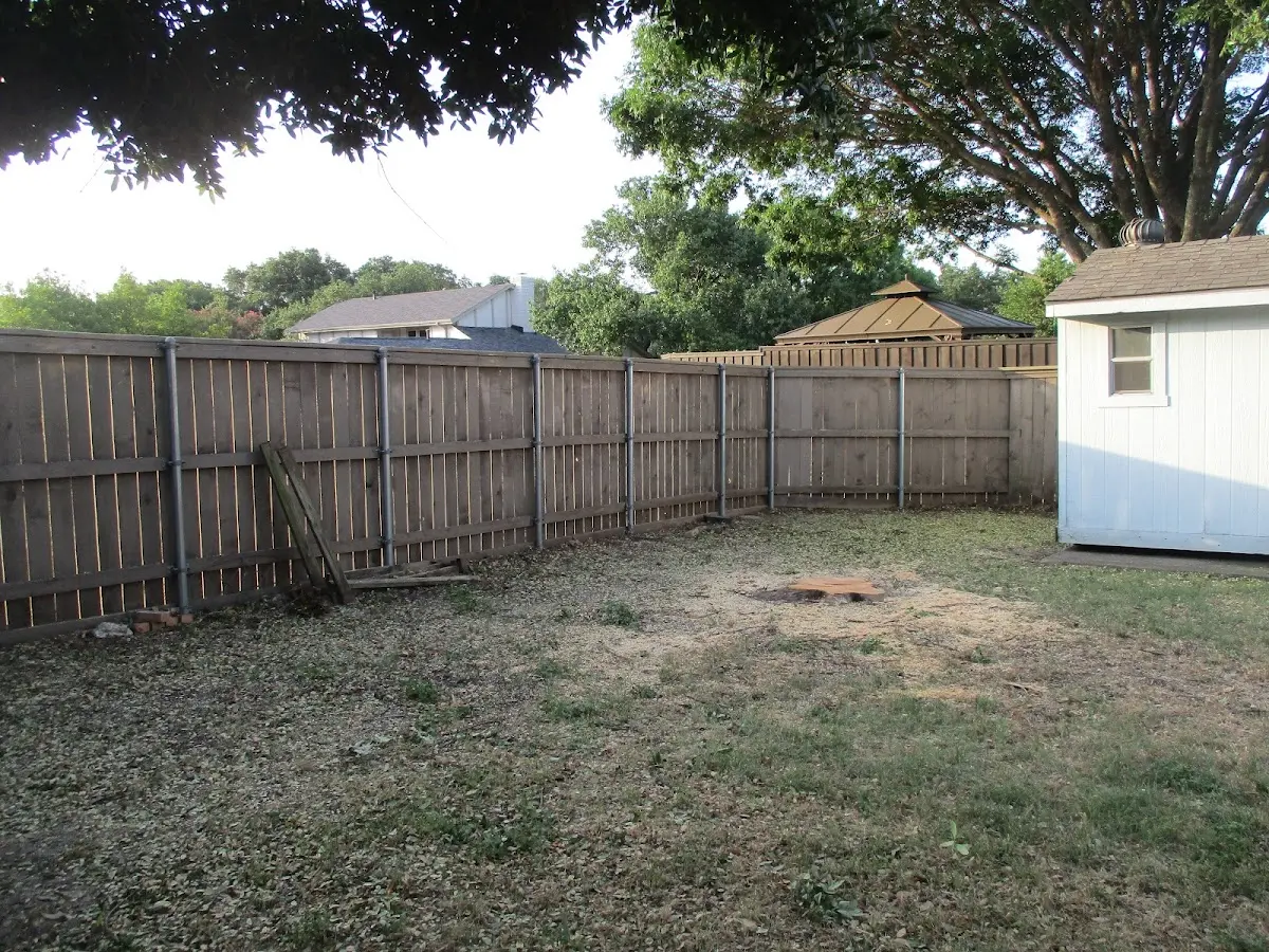 Cleared yard after professional tree removal in Courtland